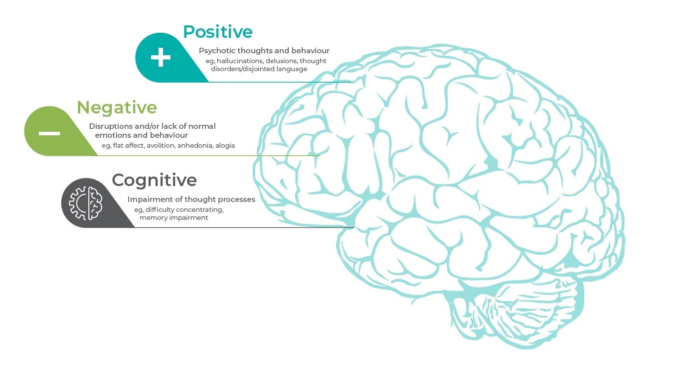 The 3 core symptom domains in schizophrenia