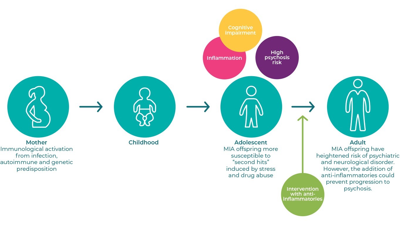 Maternal Immune Activation